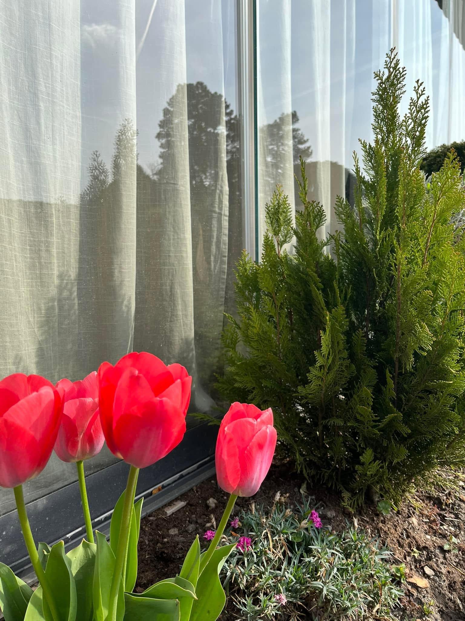 Ambiente der Restaurantterrasse, Foto 6